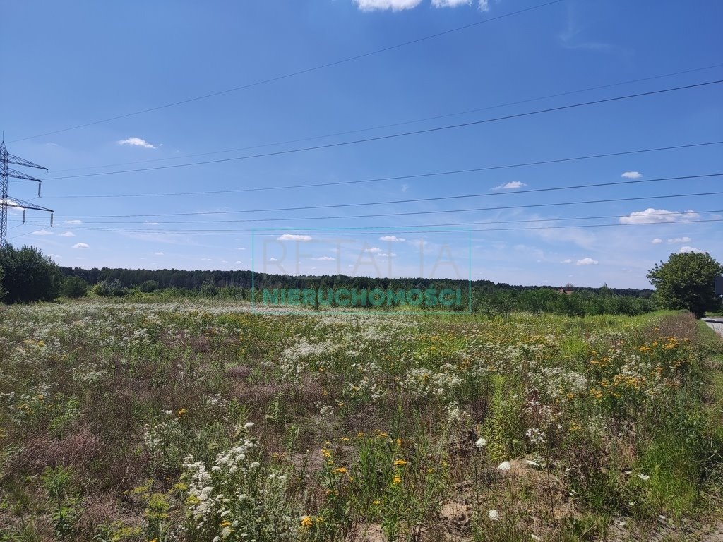 Działka budowlana na sprzedaż Wolica  28 000m2 Foto 2