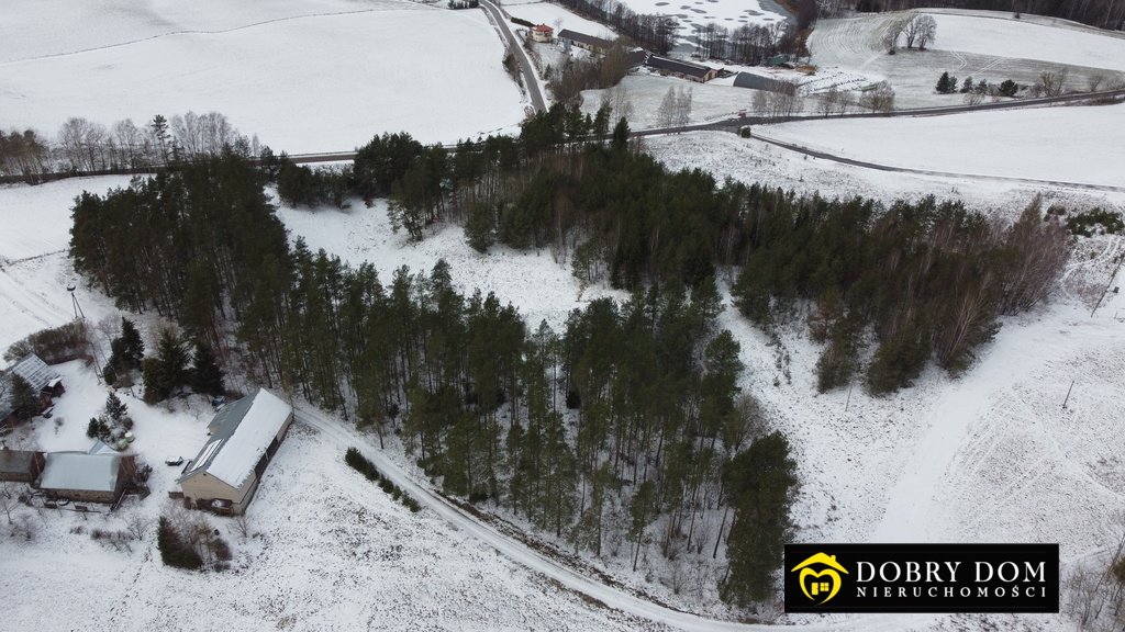 Działka leśna na sprzedaż Sidory  17 400m2 Foto 4