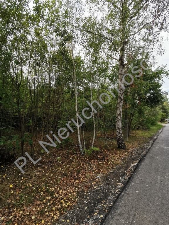 Działka budowlana na sprzedaż Stara Wieś  2 500m2 Foto 1