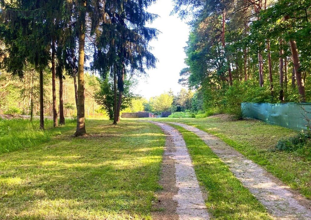 Działka budowlana na sprzedaż Skrzeszew, Partyzantów  1 000m2 Foto 5