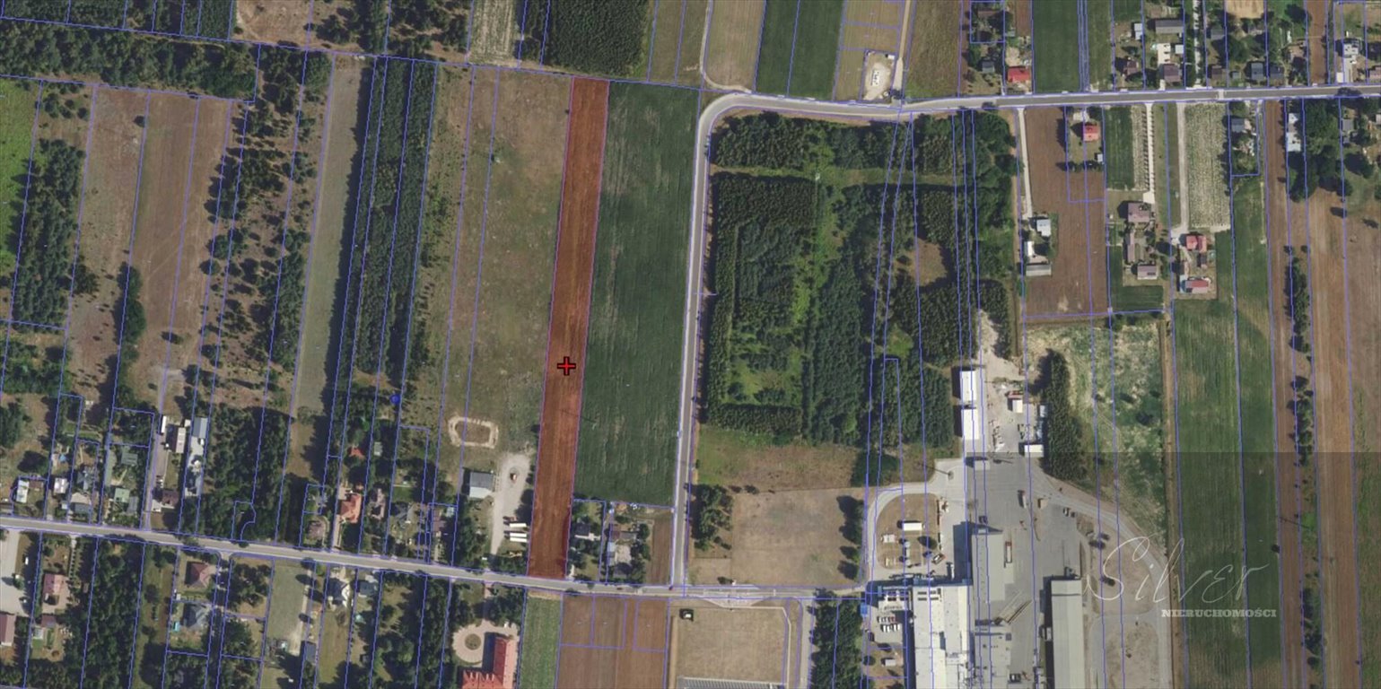 Działka rolna 12 953 m² z dostępem do asfaltu Zosin  12 953m2 Foto 1