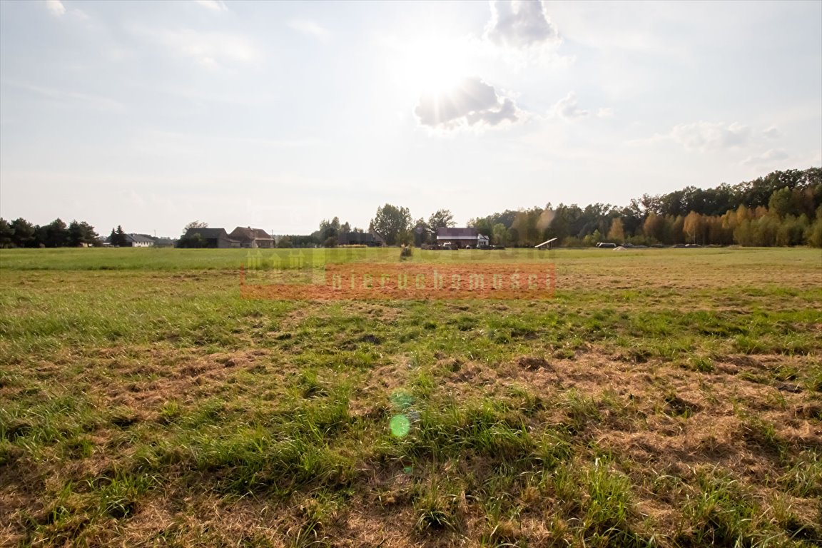 Działka inna na sprzedaż Brynica  4 000m2 Foto 5