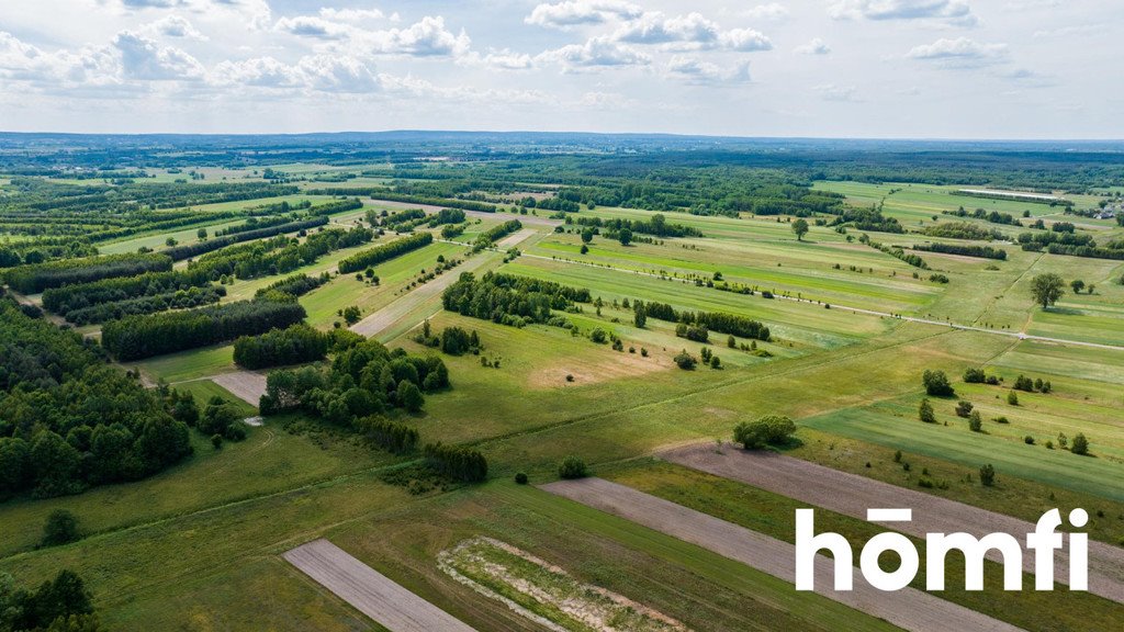 Działka siedliskowa na sprzedaż Brudnów  23 300m2 Foto 14