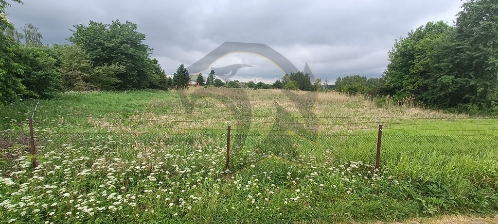 Działka inna na sprzedaż Parzęczew, Ogrodowa  6 288m2 Foto 1