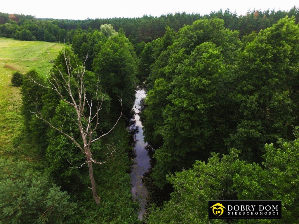 Działka inna na sprzedaż Połom  1 541m2 Foto 4