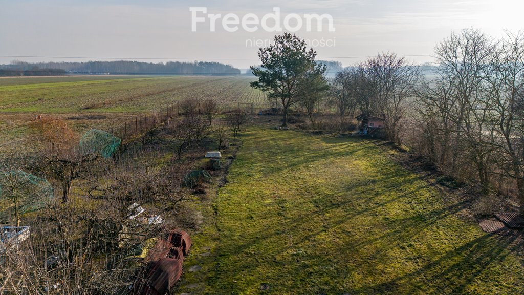 Działka budowlana na sprzedaż Bogatki, Królewska  1 350m2 Foto 8