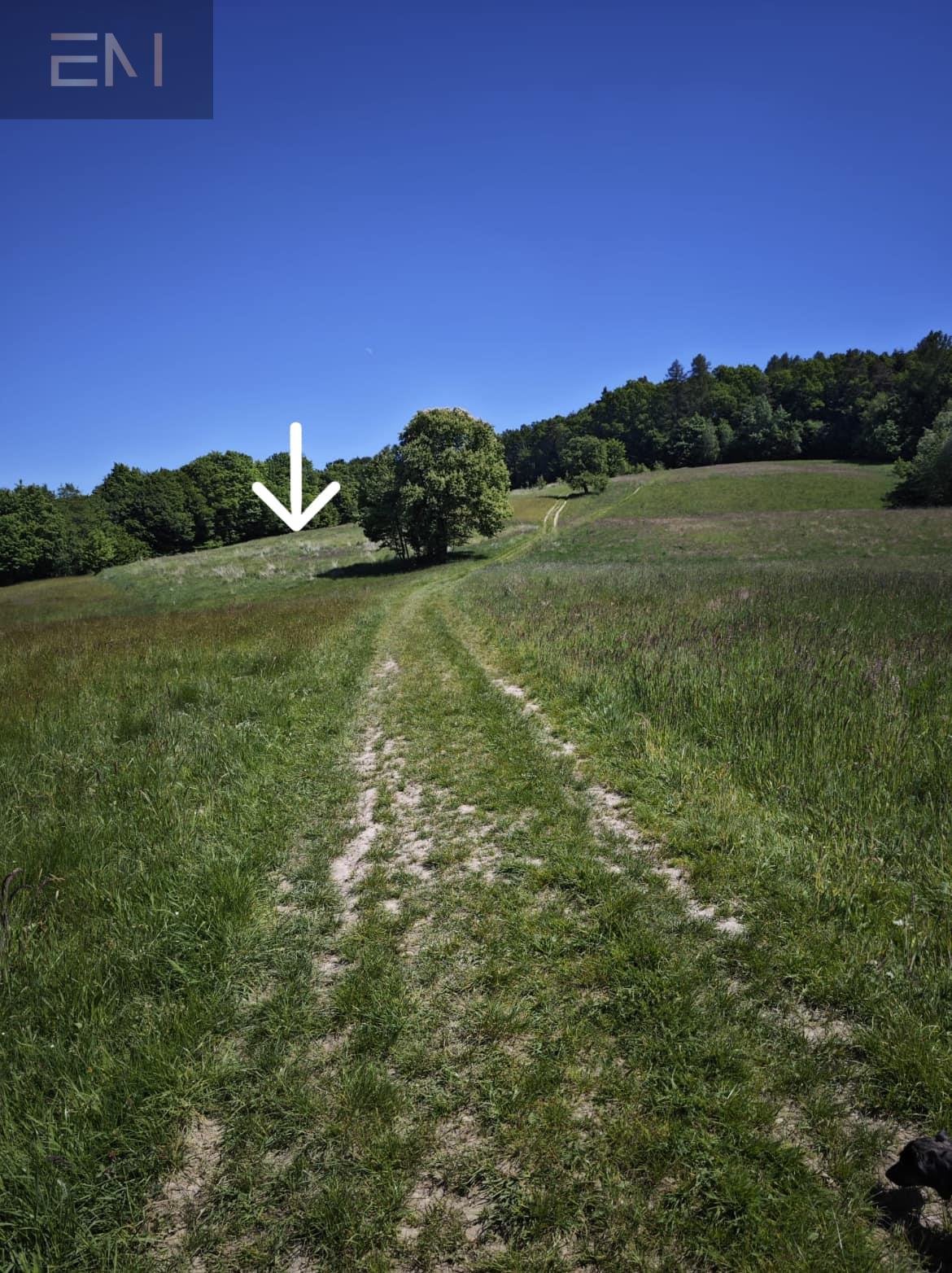 Działka rekreacyjna na sprzedaż Straszydle  3 000m2 Foto 4