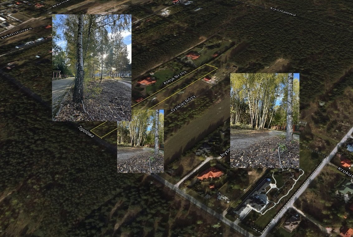 Działka budowlana 5500 m² z podziałem, blisko komunikacji Wólka  5 500m2 Foto 1