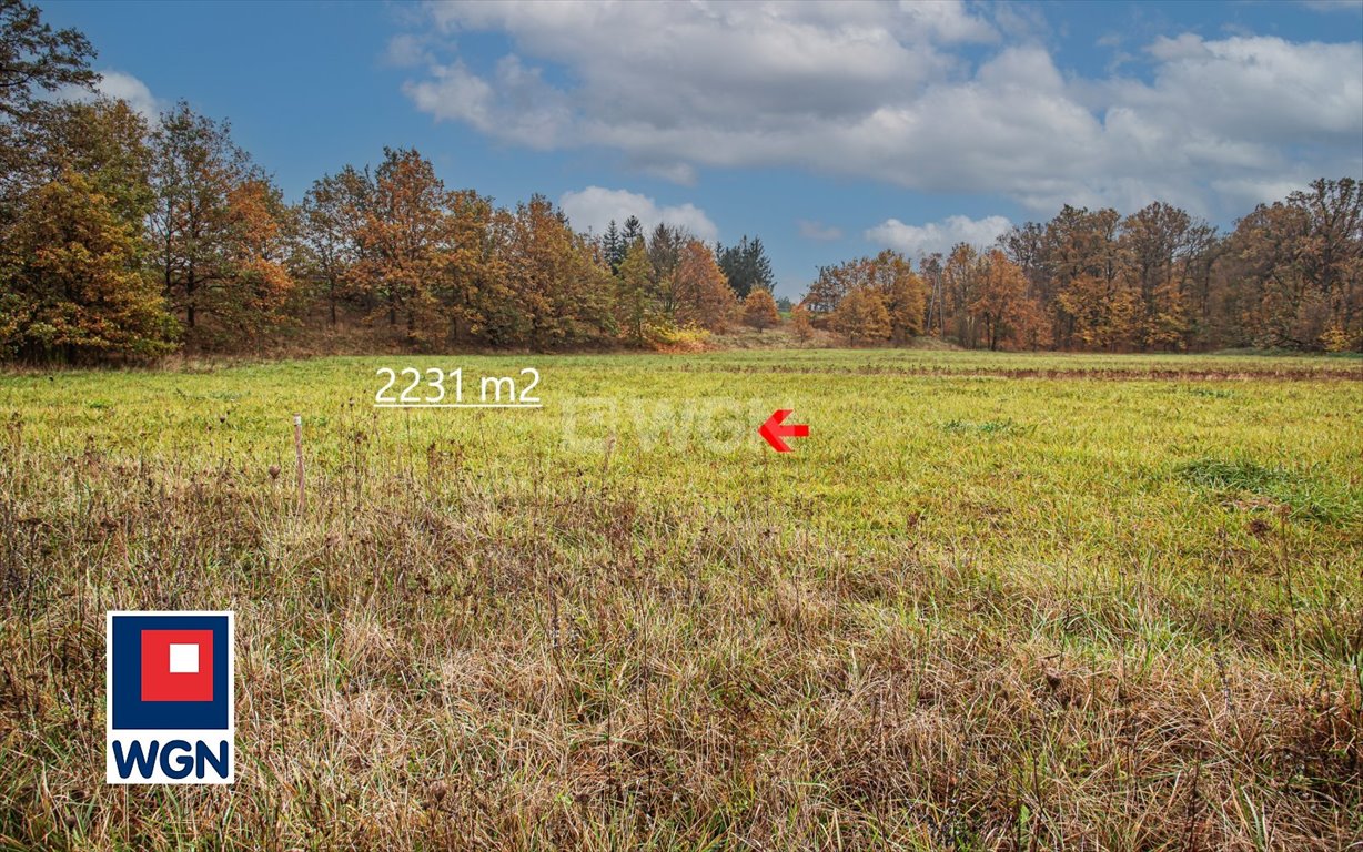 Działka budowlana na sprzedaż Dąbrowa Bolesławiecka, Dąbrowa Bolesławiecka  2 231m2 Foto 1