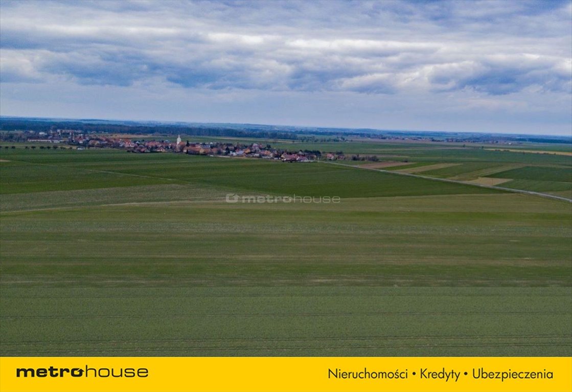 Działka rolna na sprzedaż Jenkowice  5 000m2 Foto 3