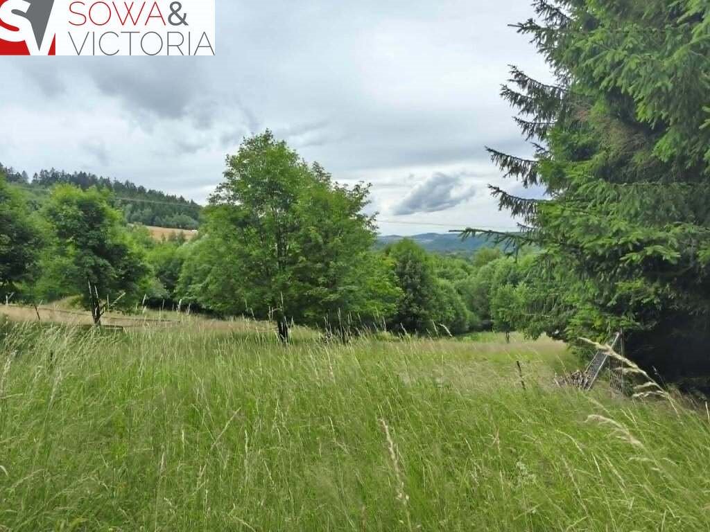 Działka 2452 m² z widokiem, MPZP, rekreacja i inwestycje Walim  2 452m2 Foto 1