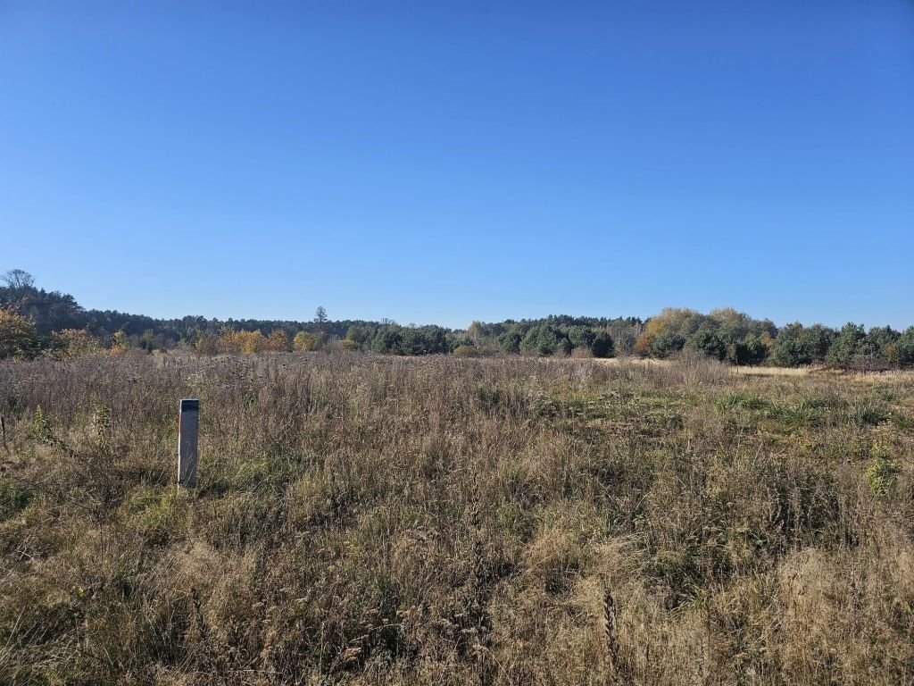 Działka budowlana na sprzedaż Suków  1 000m2 Foto 3