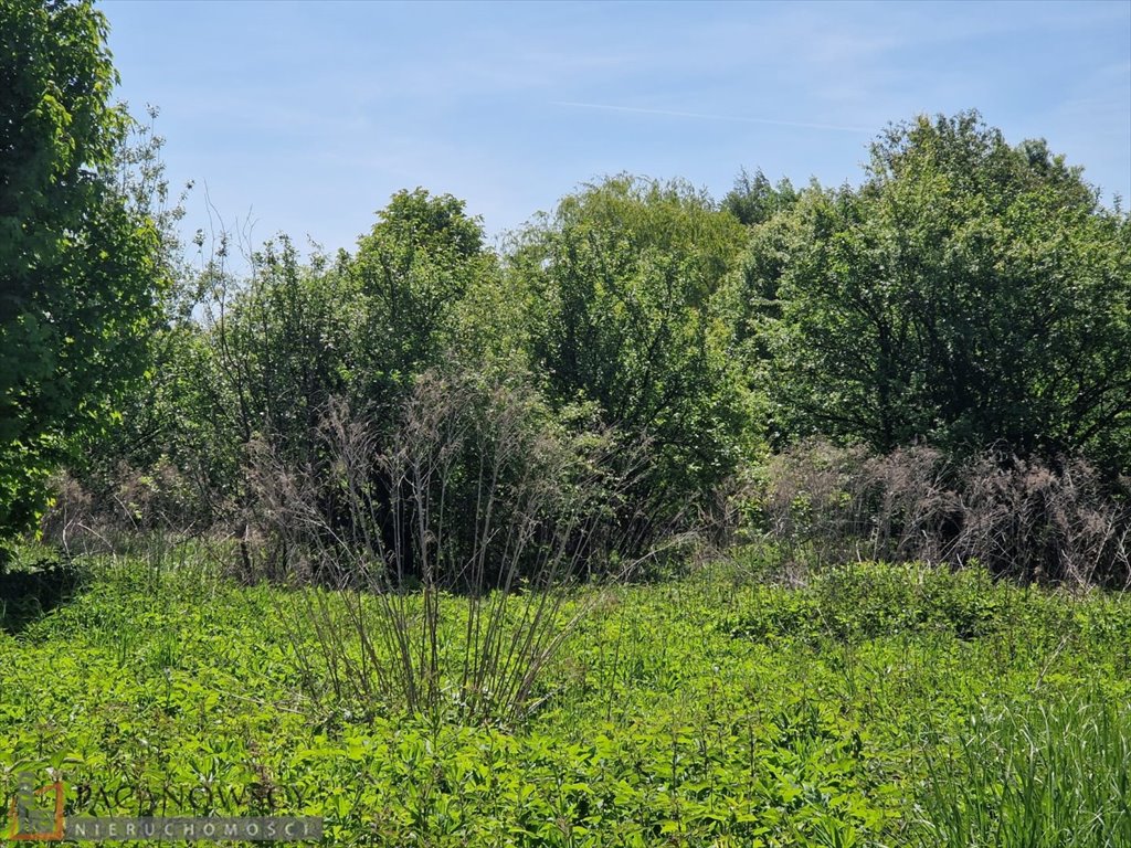 Działka rolna z możliwością rozbudowy, 33,21 ara Brzozówka Korzkiewska  3 321m2 Foto 1