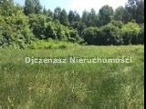 Działka inna na sprzedaż Wielgie  5 500m2 Foto 6