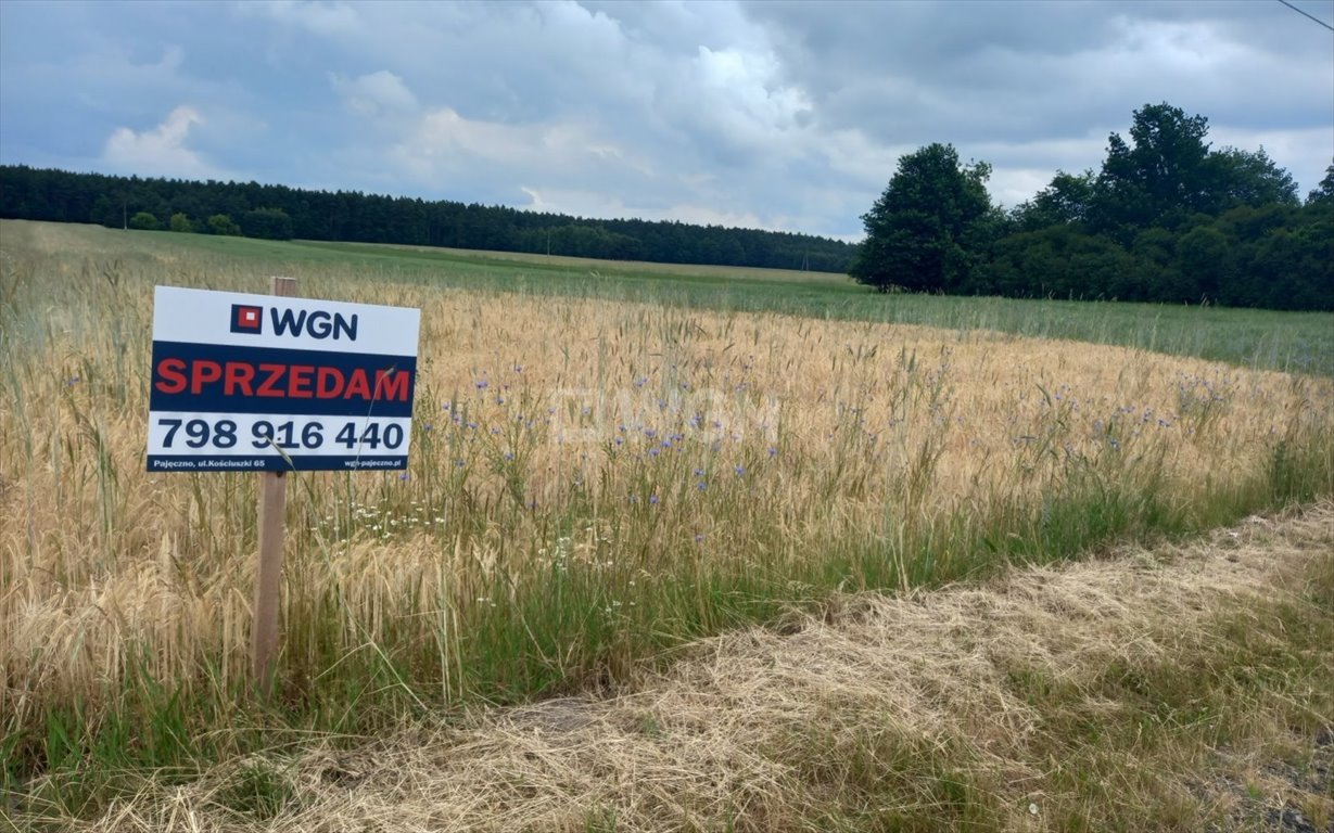 Działka budowlana na sprzedaż Suchowola  5 200m2 Foto 2