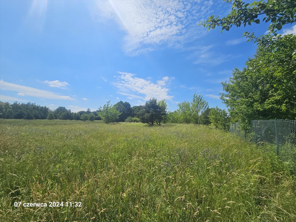 Działka budowlana na sprzedaż Józefów, Józefów, Leśna  2 112m2 Foto 6