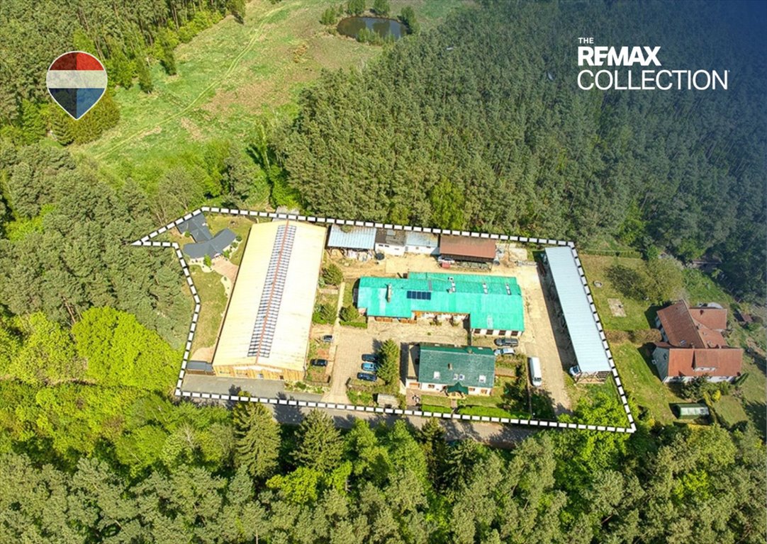 Lokal użytkowy z domem, stajnią i halą jeździecką (6 156 m²) Zielona Góra, Ochla-Świętego Huberta 3  244m2 Foto 1