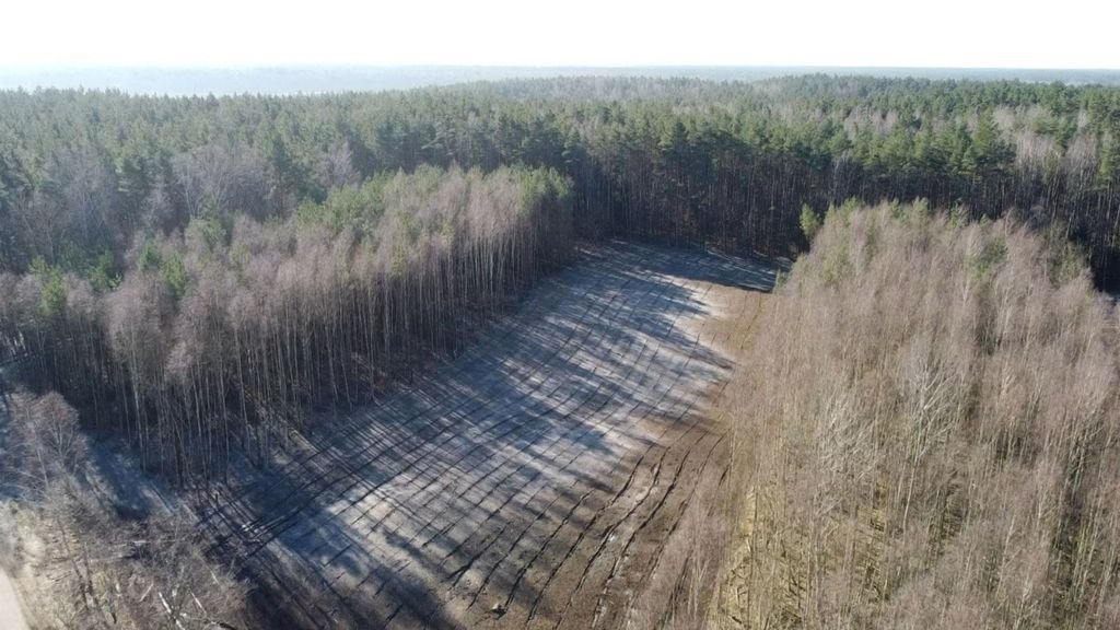 Działka budowlana na sprzedaż Dąbrowica  1 000m2 Foto 7