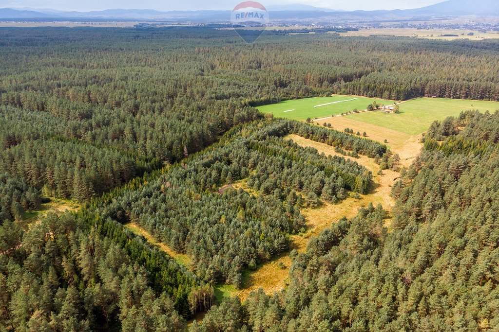 Działka rolna na sprzedaż Jabłonka, Leśna  20 000m2 Foto 14