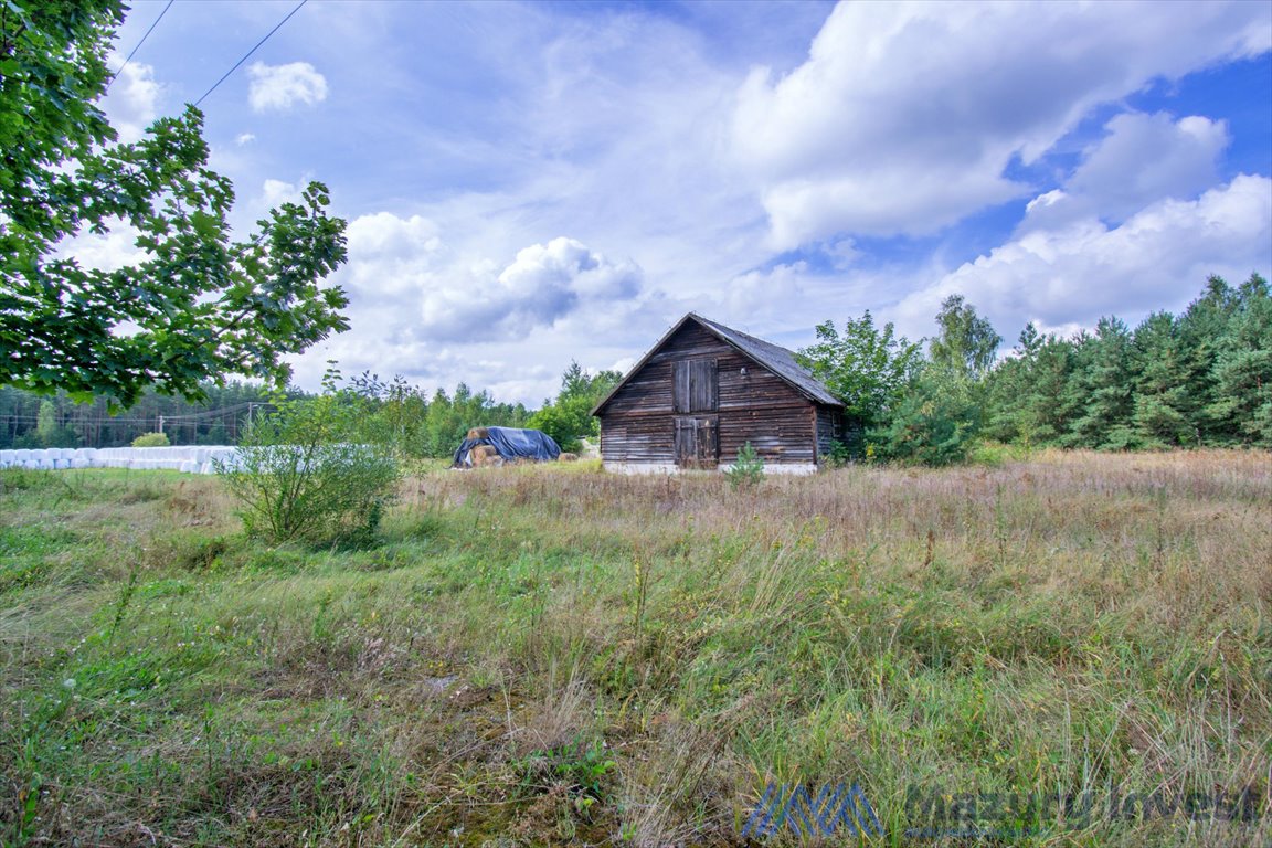 Lokal użytkowy na sprzedaż Gawrzyjałki  3 178m2 Foto 3