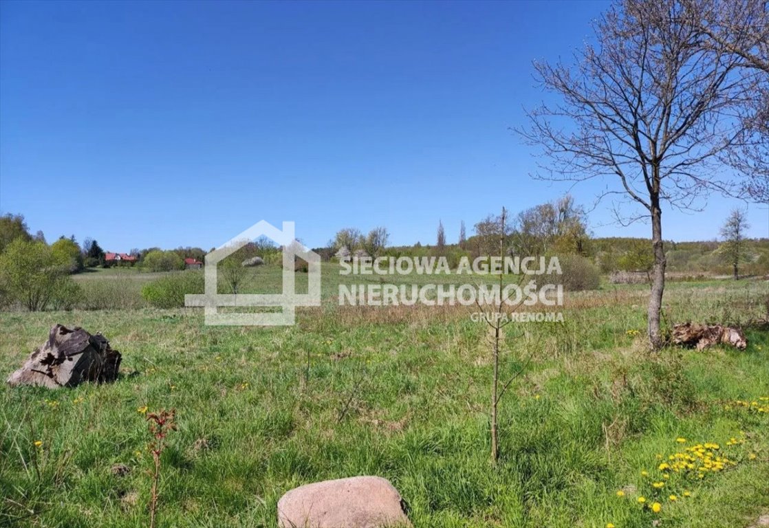 Działka rolna z MPZP, las, media, 10 005 m2. Buszkowy  10 005m2 Foto 1