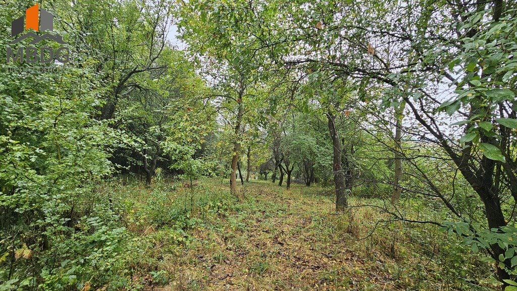 Działka rolna na sprzedaż Sieciechowice, Brzozowa  4 000m2 Foto 11