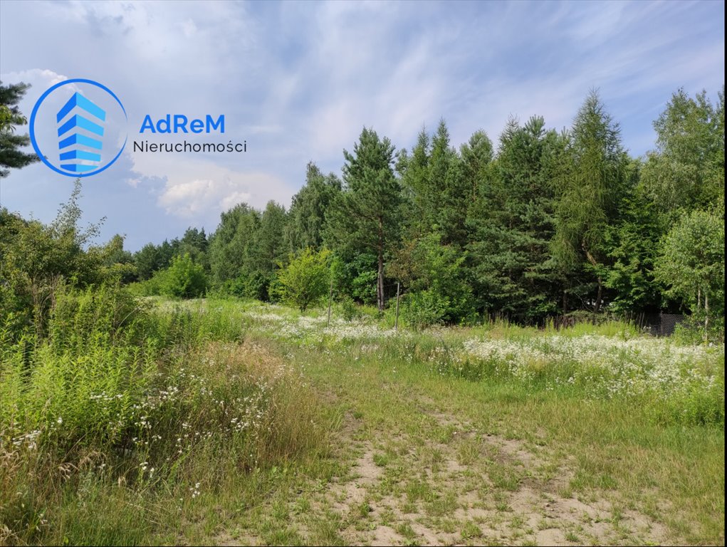 Działka rolna na sprzedaż Mieszkowo  5 800m2 Foto 2