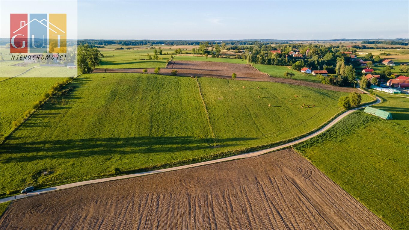 Działka rolna na sprzedaż Blanki  41 400m2 Foto 12