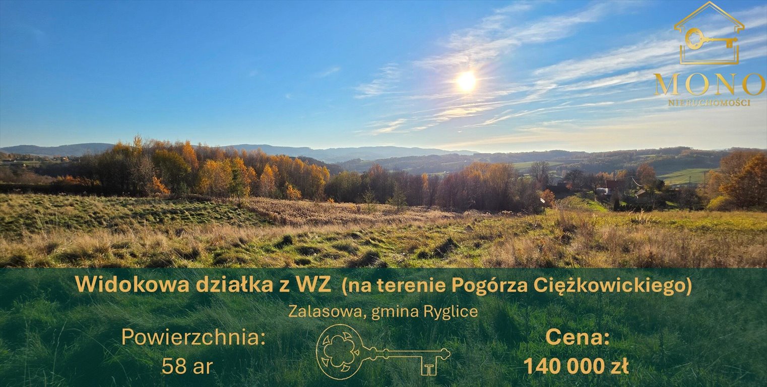 Malownicza działka 58 ar z widokiem na góry i lasy Zalasowa  5 800m2 Foto 1