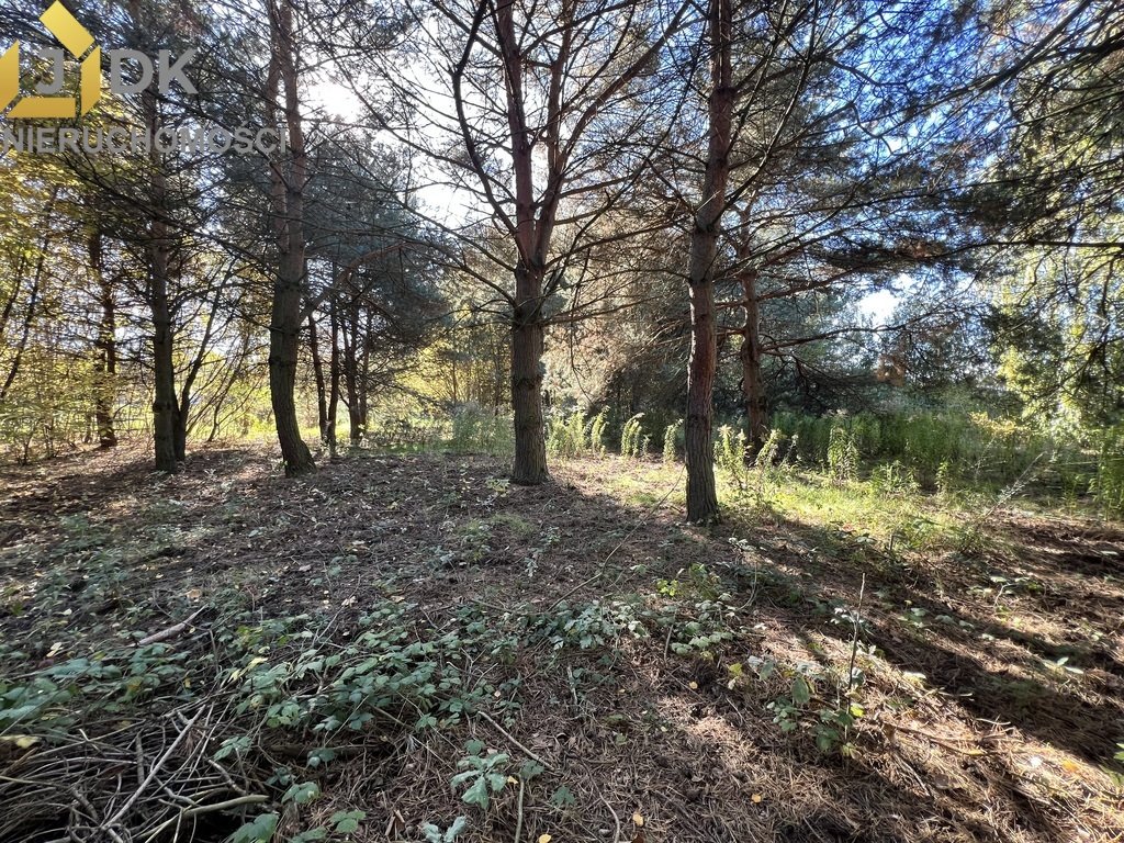 Działka budowlana na sprzedaż Kożuszki-Parcel  1 273m2 Foto 4