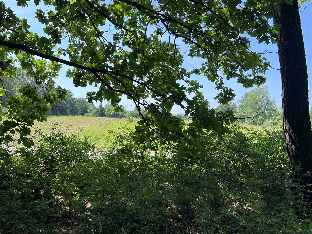 Działka budowlana na sprzedaż Kierszek, Prawdziwka  3 000m2 Foto 15