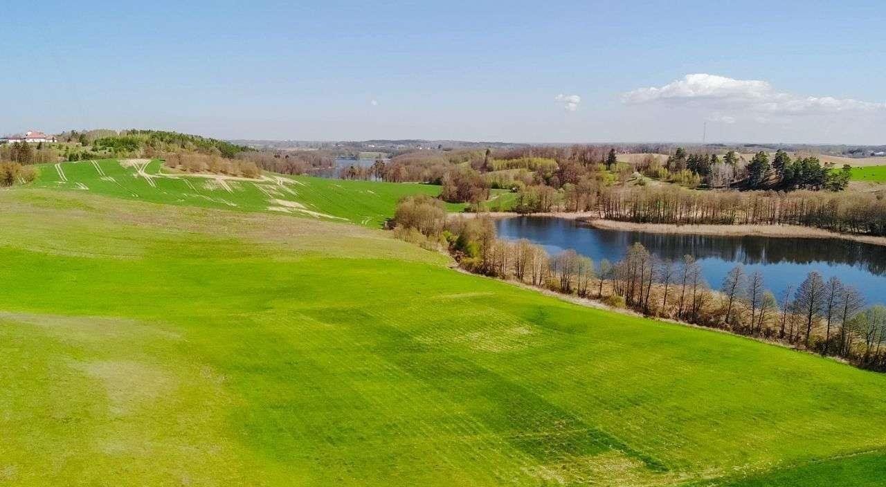 Działka budowlana na sprzedaż Miłki  10 002m2 Foto 6