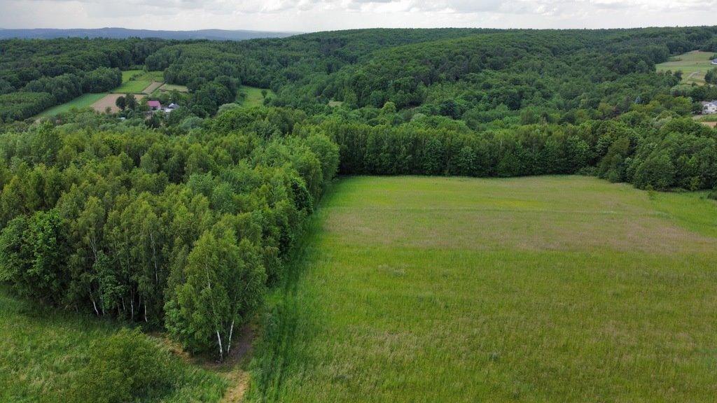 Działka inna na sprzedaż Rzeszów, Budziwój, Liliowa  2 900m2 Foto 3