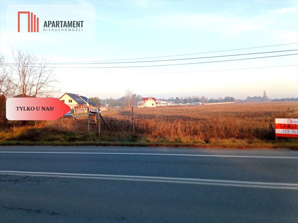 Działka budowlana na sprzedaż Wołów  10 000m2 Foto 5