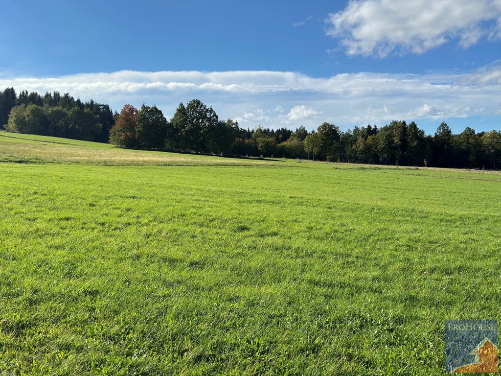 Działka budowlana na sprzedaż Męcina  6 600m2 Foto 16