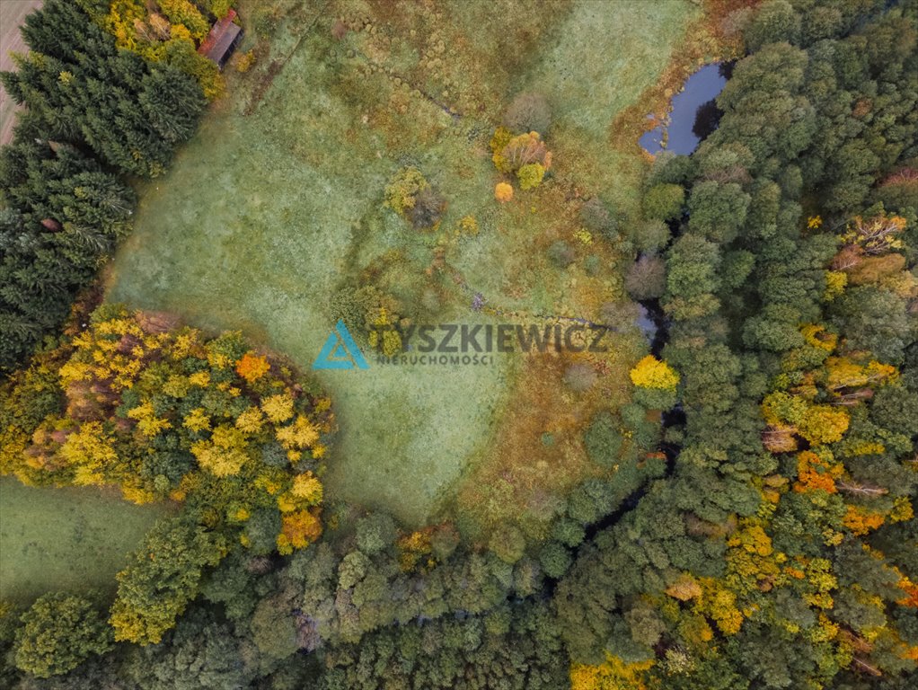 Działka rolna na sprzedaż Tłuczewo  13 493m2 Foto 3