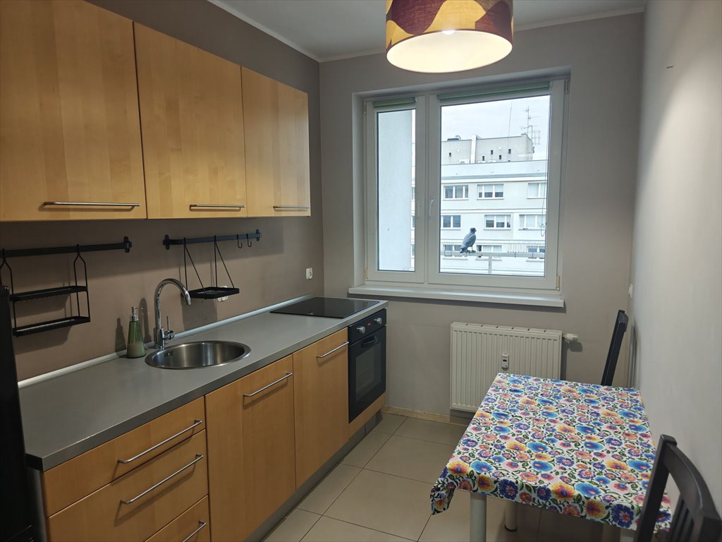 Wynajem 35 m² - balkon - blisko uniwersytetu przyrodniczego Poznań, Winogrady, Piątkowska 84c  35m2 Foto 1