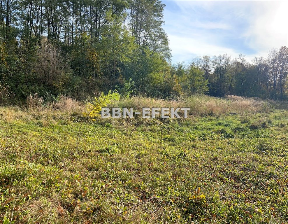 Działka budowlana na sprzedaż Bielsko-Biała, Stare Bielsko  889m2 Foto 3