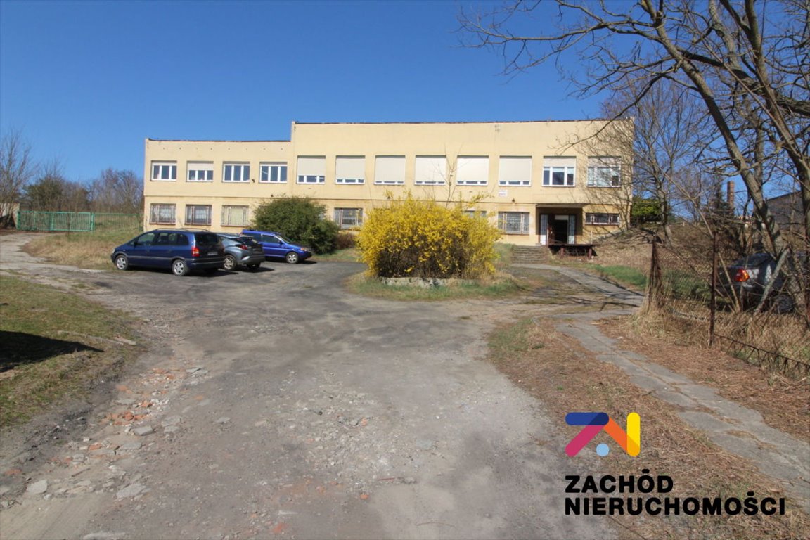 Lokal użytkowy na sprzedaż Krosno Odrzańskie, Wiejska  285m2 Foto 1