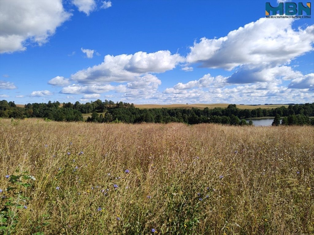 Działka inna na sprzedaż Marcinowa Wola, Marcinowa Wola  6 038m2 Foto 12