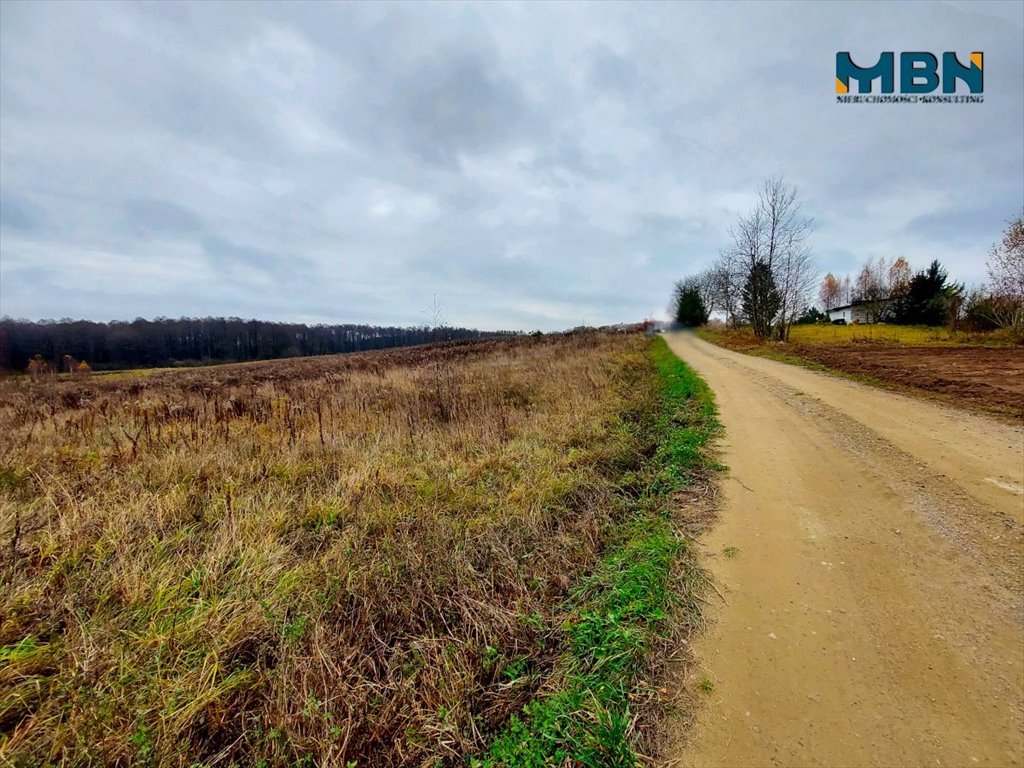 Działka budowlana na sprzedaż bogacko, bogacko, bogacko  8 478m2 Foto 9