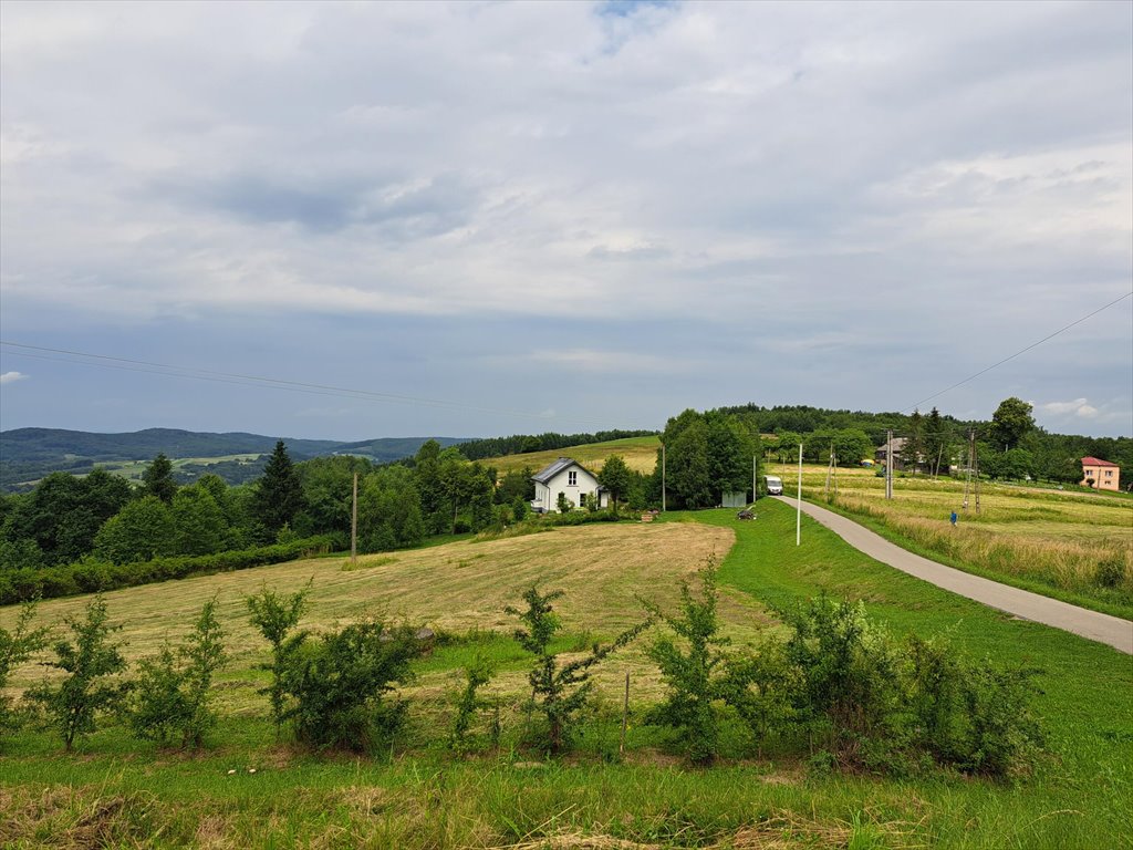 Działka rolna na sprzedaż Niebocko  2 860m2 Foto 5