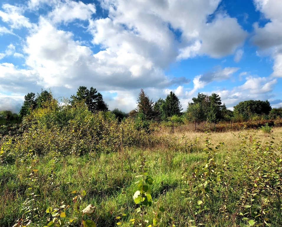 Działka budowlana na sprzedaż Orle  820m2 Foto 1