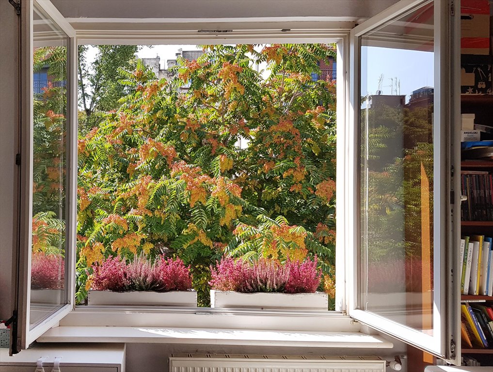 Kawalerka na sprzedaż Wrocław, Stare Miasto, Stare Miasto, Kotlarska  37m2 Foto 1