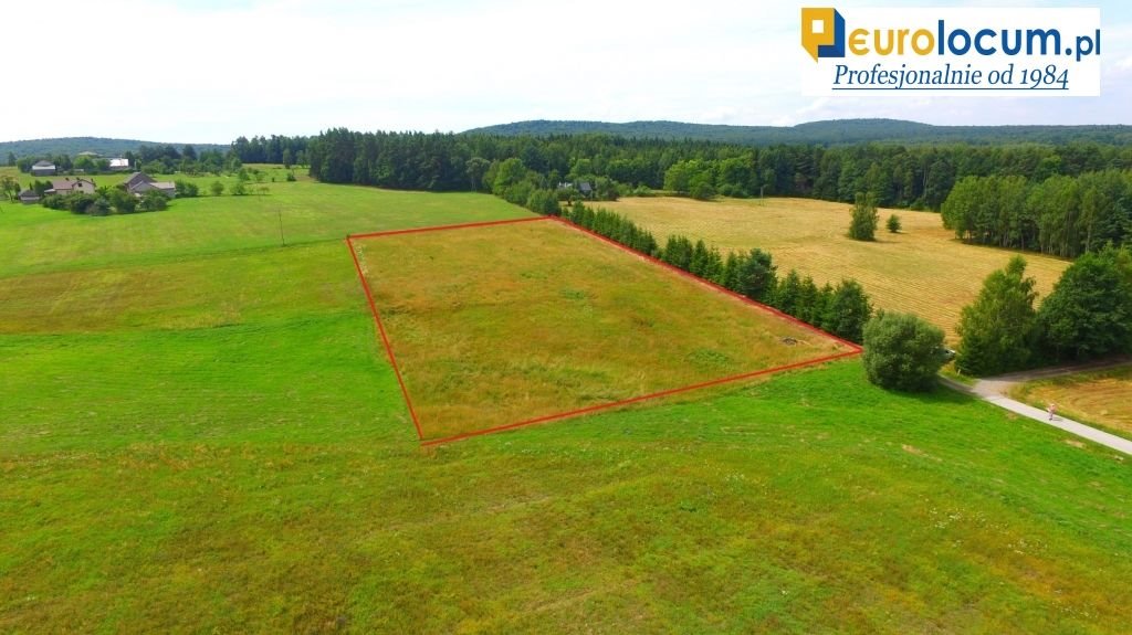 Działka rekreacyjna na sprzedaż Makoszyn  8 000m2 Foto 1