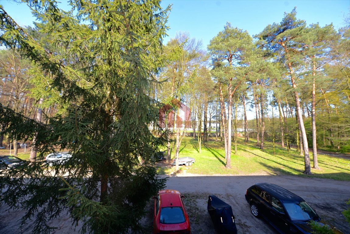 Mieszkanie dwupokojowe na wynajem Pustków-Osiedle  48m2 Foto 1