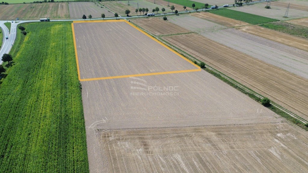 Działka budowlana na sprzedaż Zielęcice  19 300m2 Foto 2