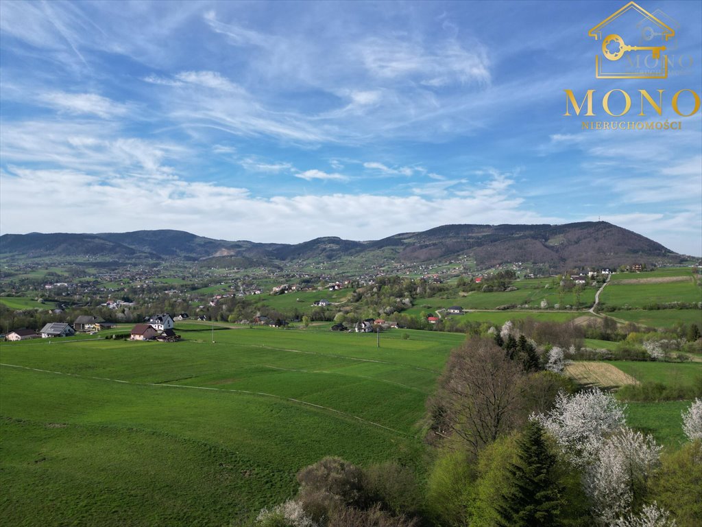 Działka rolna na sprzedaż Krasne Potockie  8 200m2 Foto 3