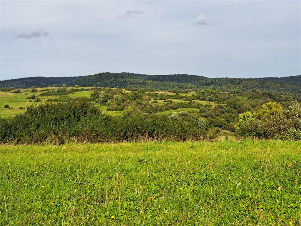 Działka rolna na sprzedaż Posada Jaśliska  9 900m2 Foto 13