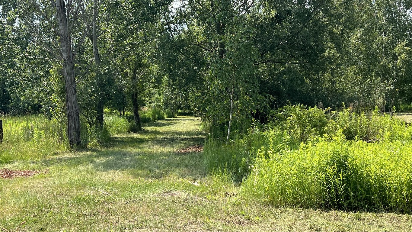 Działka budowlana na sprzedaż Kierszek, Prawdziwka  3 000m2 Foto 9